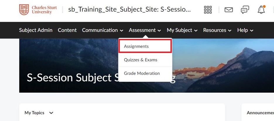 Select Assignments under the Assessment dropdown