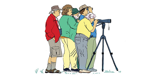 Hastings Birdwatchers