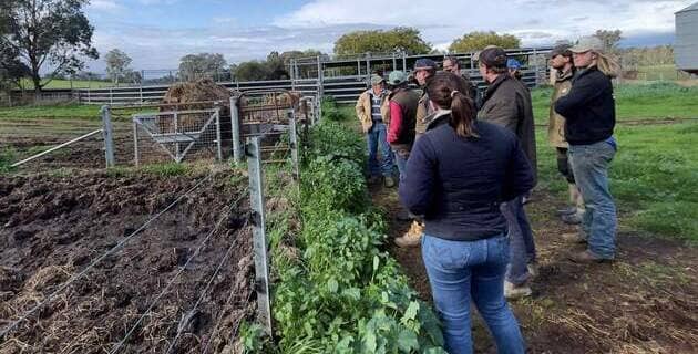 Supporting graziers to save soils and maintain livestock