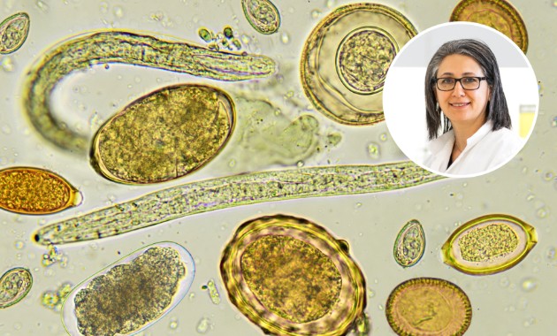 Charles Sturt scientist contributes to the UN expert panel on foodborne parasites