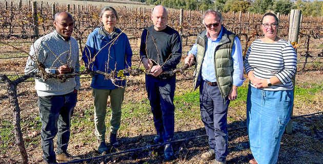 $7.94 million to boost viticulture and horticulture drought resilience in face of climate change