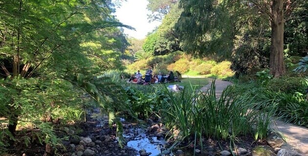 Nature to nurture the mind