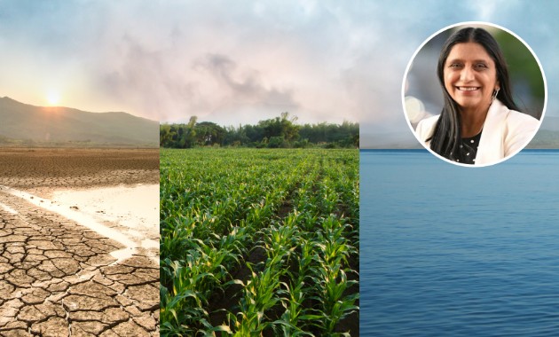 Charles Sturt research addresses real challenges in the bush 