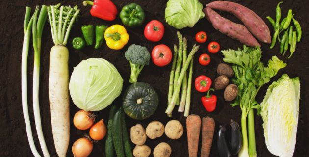 Section 1: Soil and our food