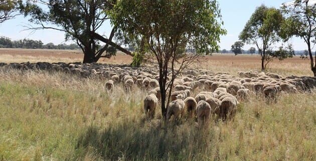 Strengthening the farm business for the future