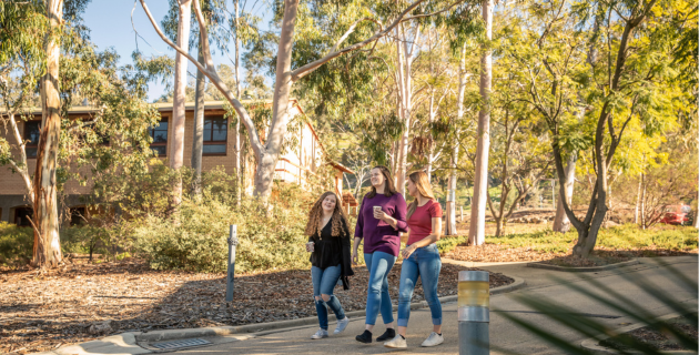 Connected Pathways Program