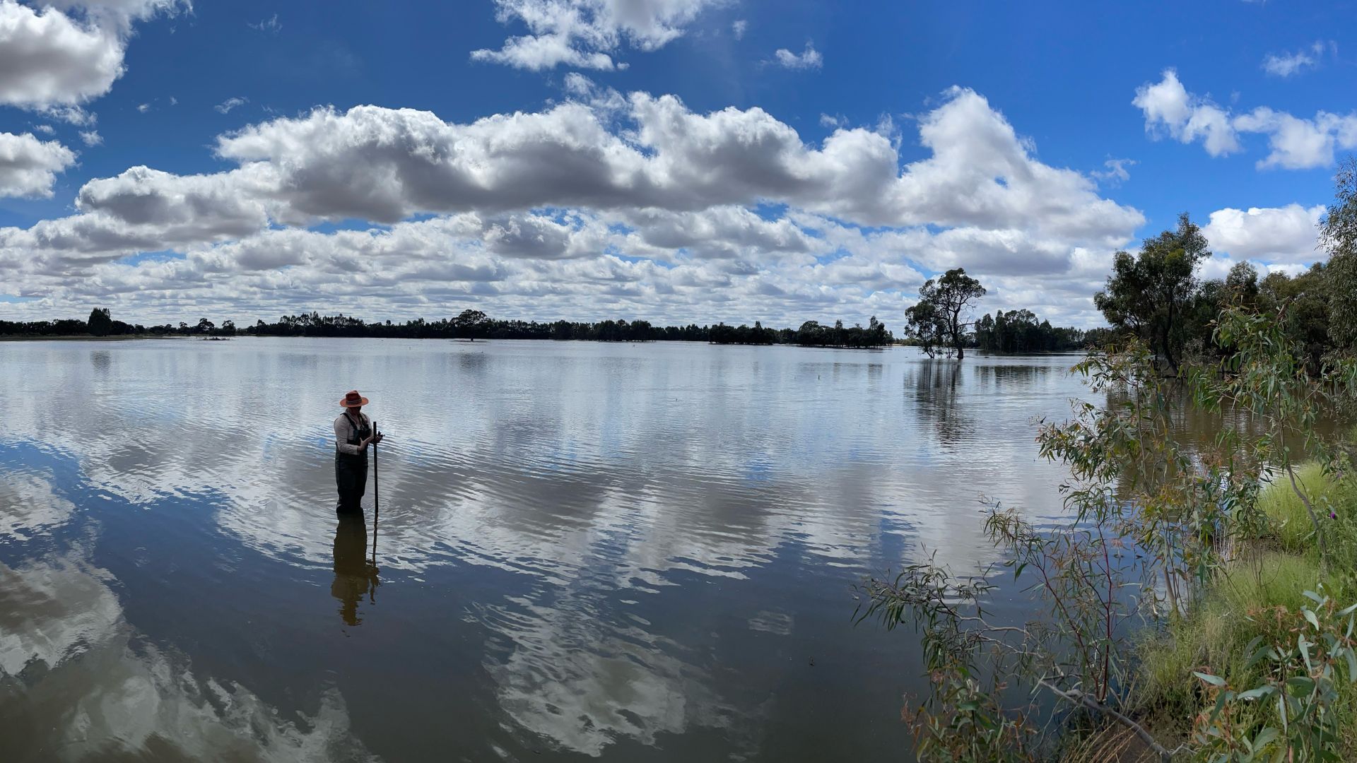 Digital media creates innovative portrait of Murrumbidgee wetland 