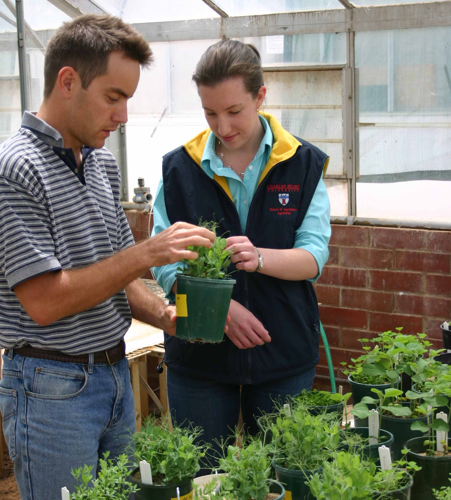Honours student Ms Melanie Bower with her research supervisor Dr Jason Condon.