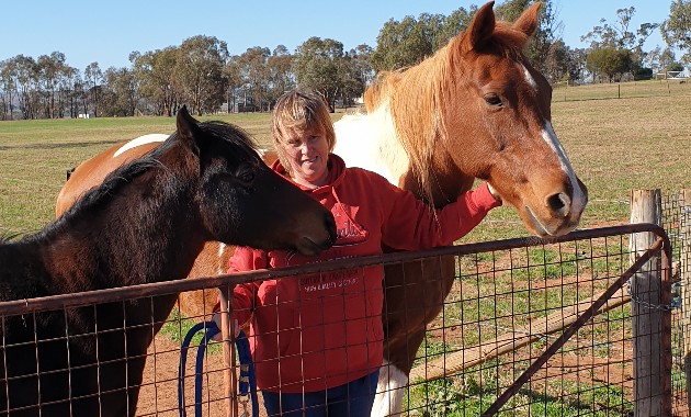 Horse owners worried about long-term financial impact of COVID-19 