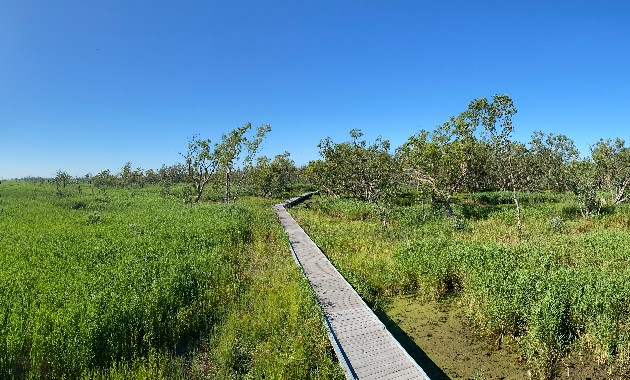 After 50 years of formal wetlands protection, new ways are needed