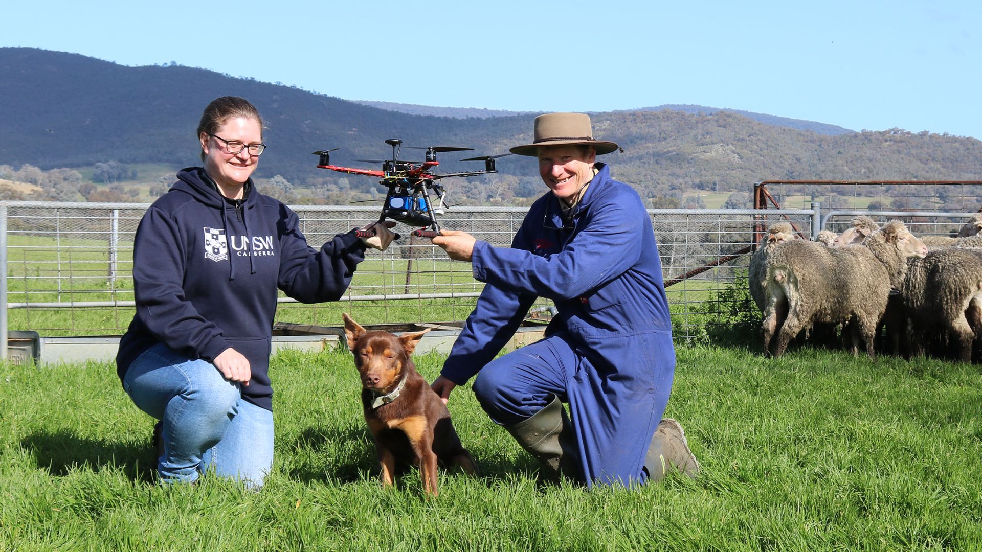 Dogs and drones: unlocking the benefits of AI mustering 