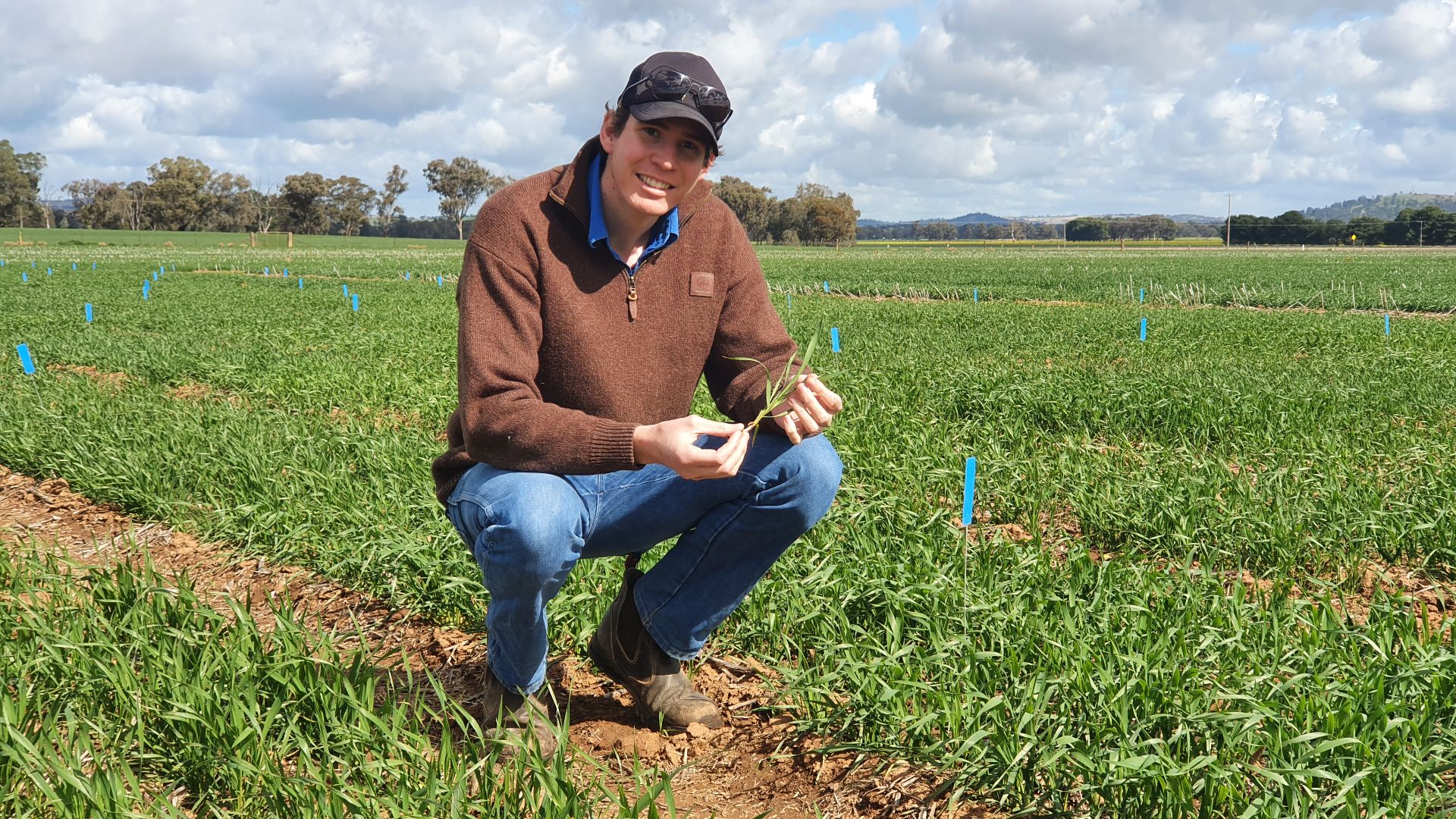 From Farrer to space: new PhD research investigates characteristics of fast-growing wheat