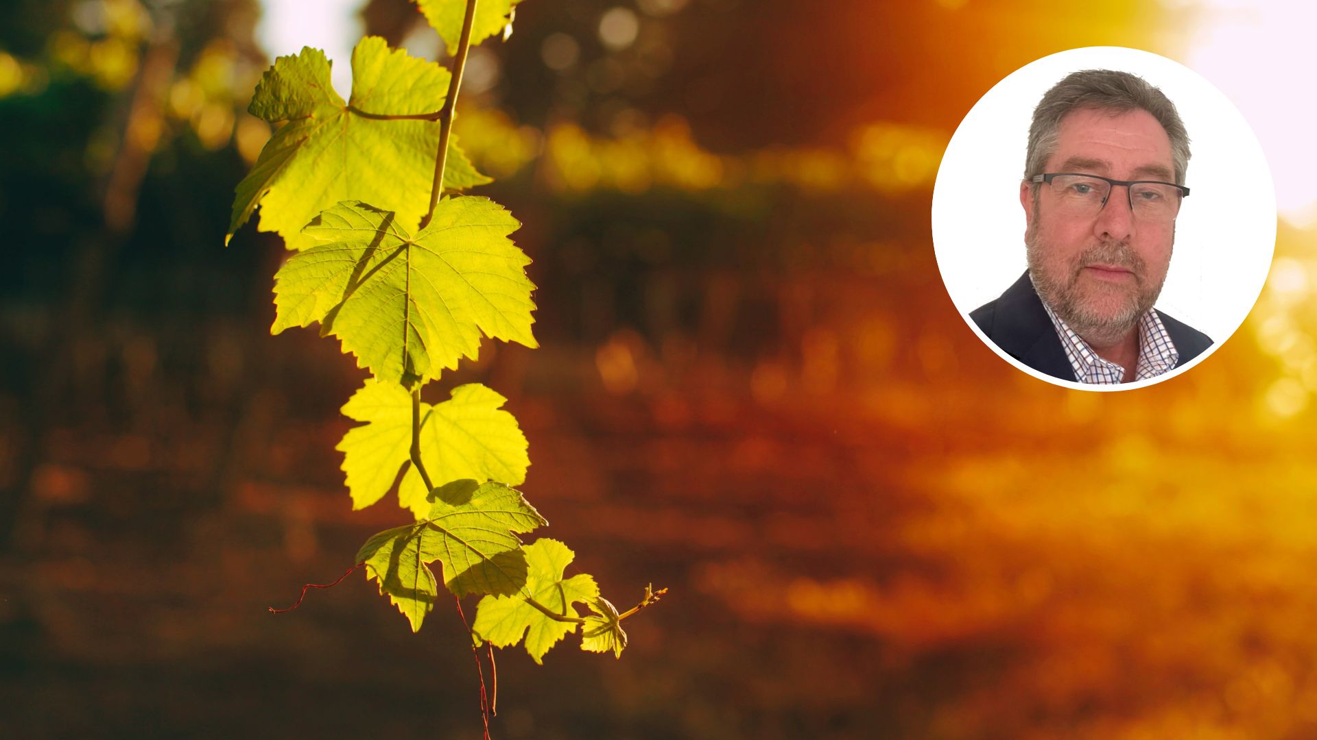 Wine expert joins Charles Sturt to grow industry partnerships 