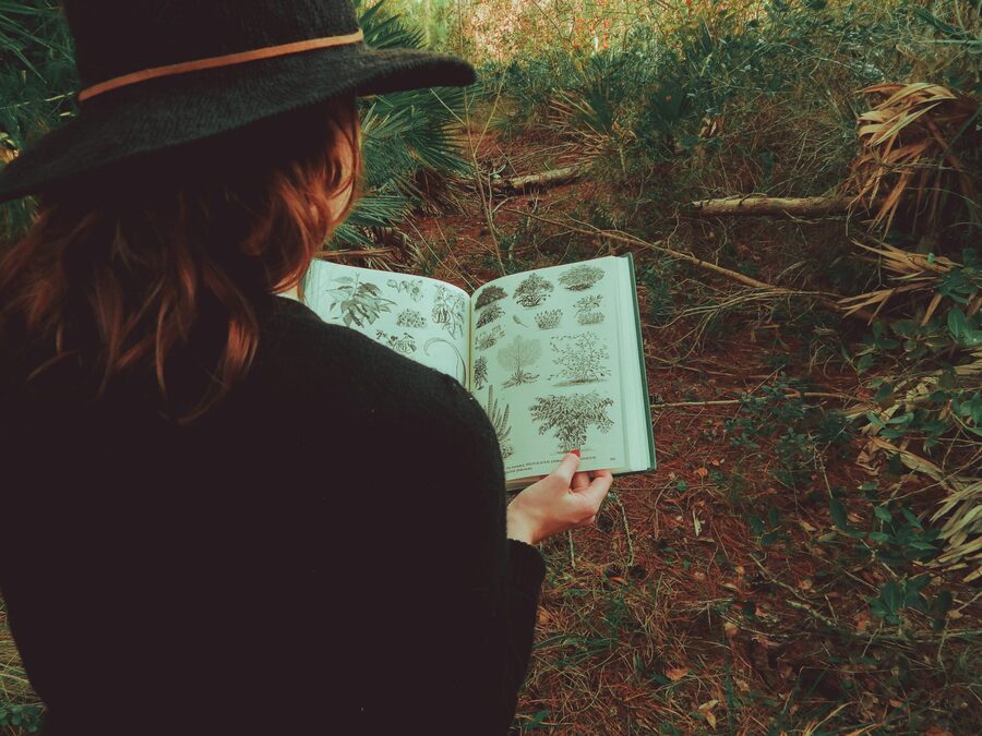 Person in nature with book