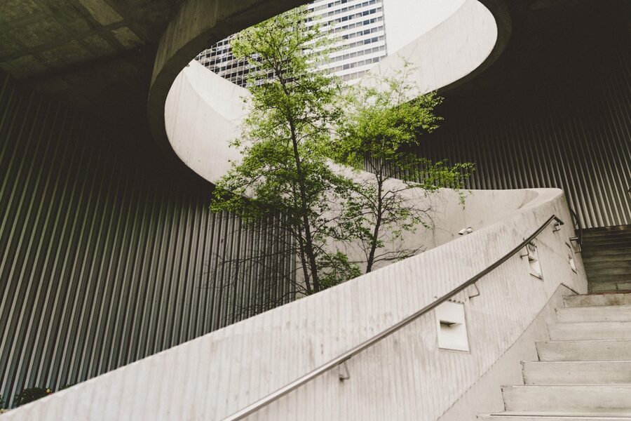 Outdoor staircase with tree growing in centre