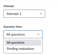 Attempt and Question view options in Quick Eval