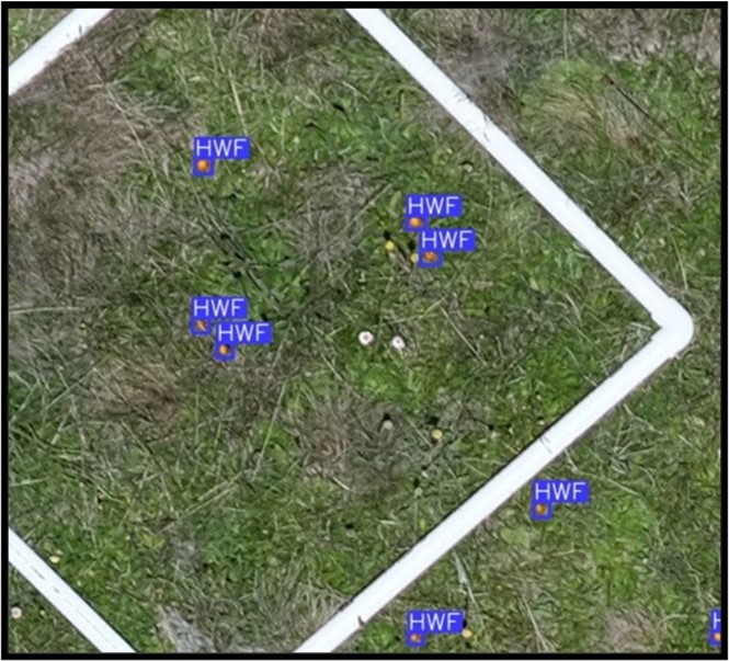 RGB ground quadrat image with known plant species present in the landscape