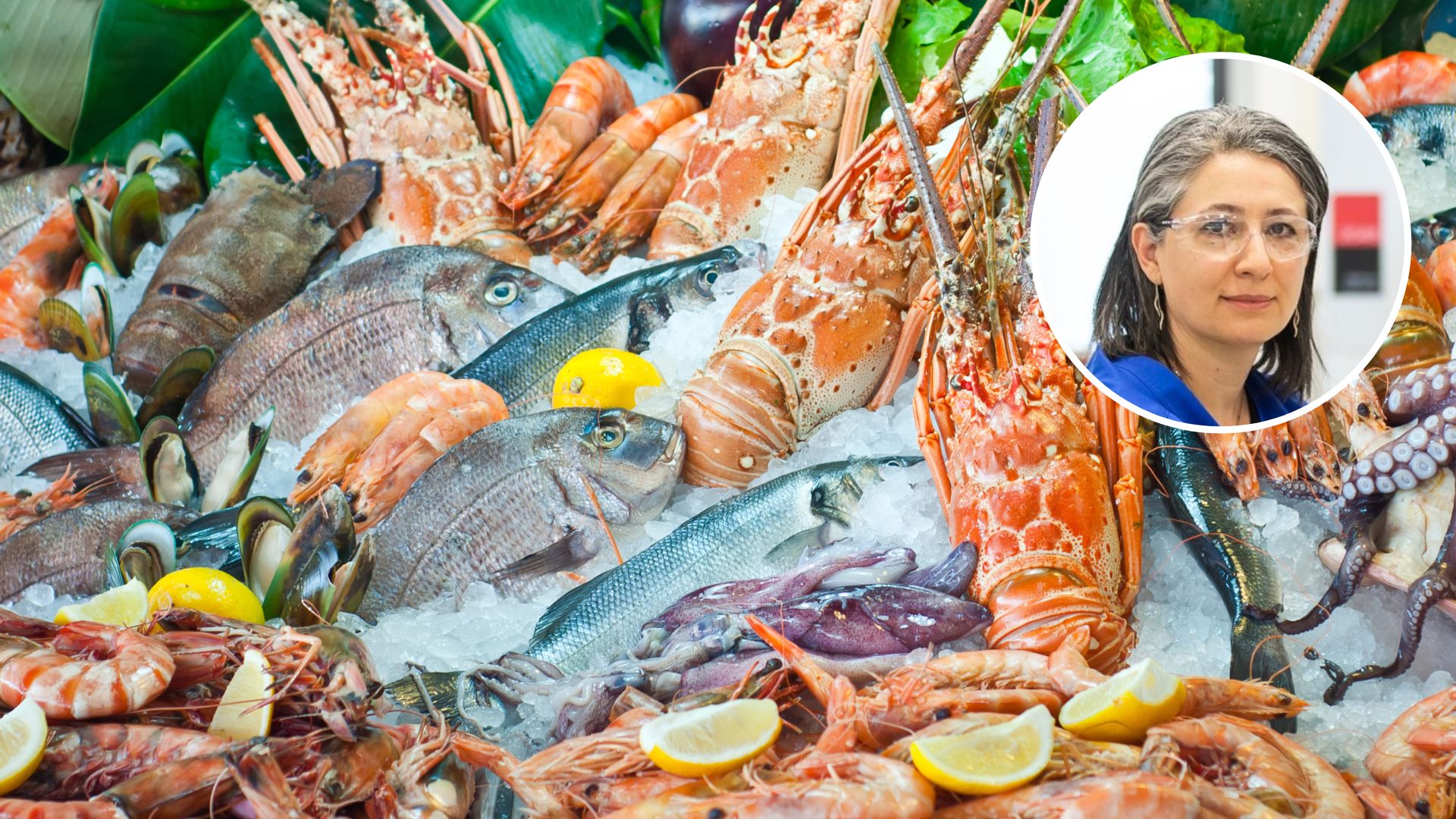 Eating seafood? Researchers explore regional attitudes and consumption ...