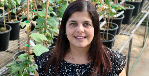 Associate Professor Sandra Savocchia