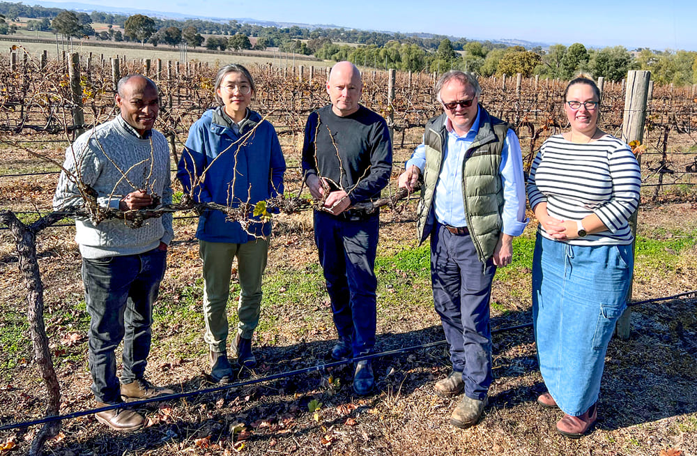 Staff from Charles Sturt University’s Gulbali Institute for Agriculture, Water and Environment Dr Ketema Zeleke, Dr Xinyi Zhang, Dr Jason Smith, Professor Leigh Schmidtke and Dr Joanne Ashnest at the Charles Sturt University vineyard in Wagga Wagga.  