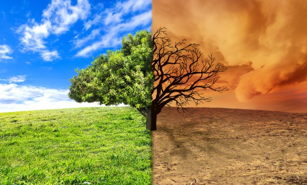 Australians worried about climate collapse: new report 