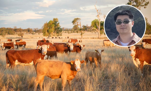Research investigates use of AI and 3D modelling for remote estimation of livestock weight