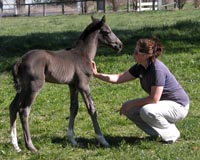 New foal greeted on Orange Campus.