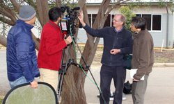 Japanese interest in eucalypts and bushfires