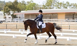 New equestrian centre to benefit region 