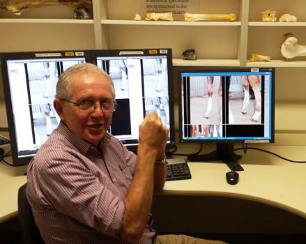 CSU Associate Professor Bryan Hilbert with post-operative photos of Spare Parts at the Veterinary Clinical Centre. 