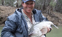 Angler survey highlights Murray cod by-catch