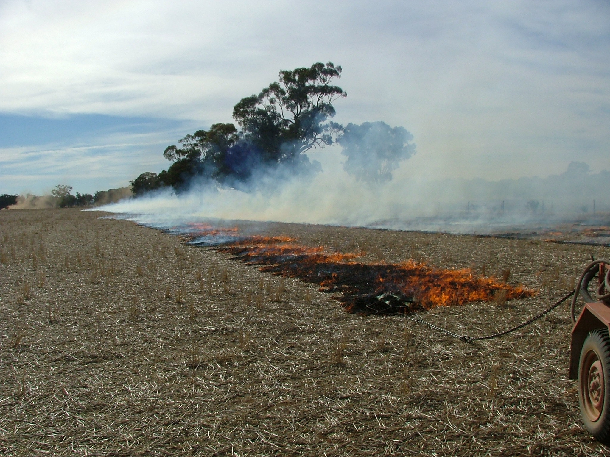 Photo of stubble burning courtsey Phil Bowden