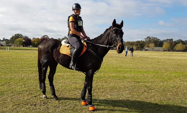 Charles Sturt University student accepts prestigious international equine research internship