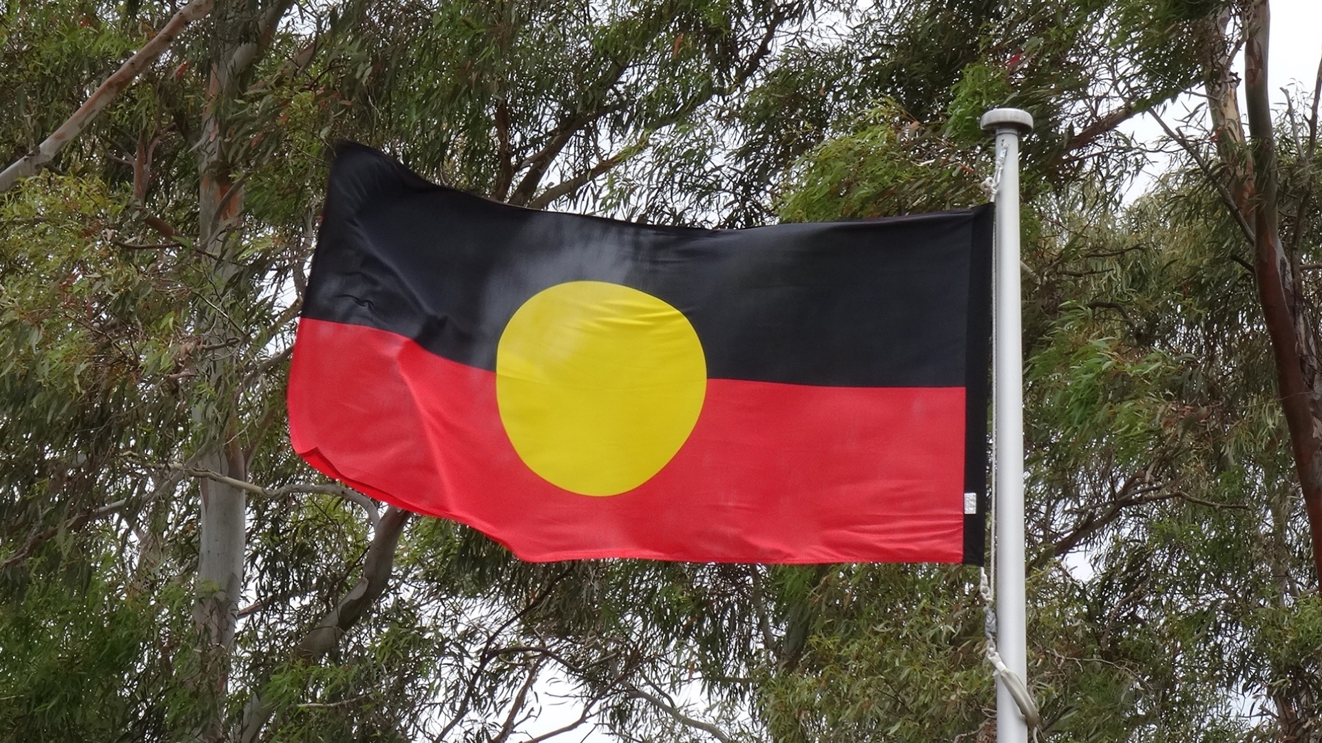 Charles Sturt University marks Reconciliation Week in Port Macquarie