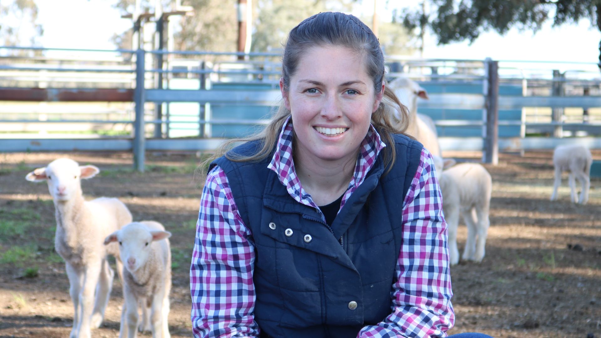 Charles Sturt PhD student's survey aimed at boosting lamb survival rate