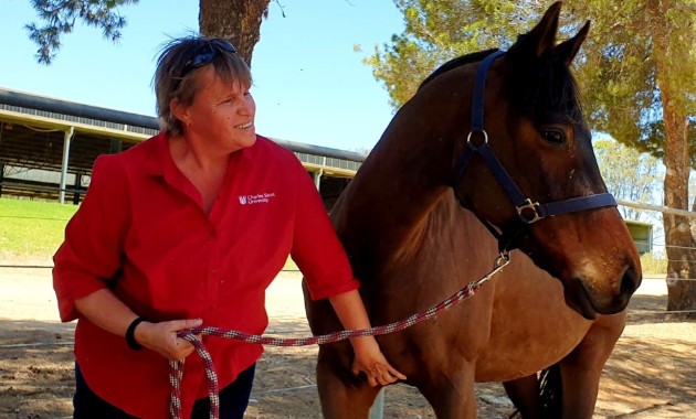 Charles Sturt academic conducts research on effect of COVID-19 on horse owners