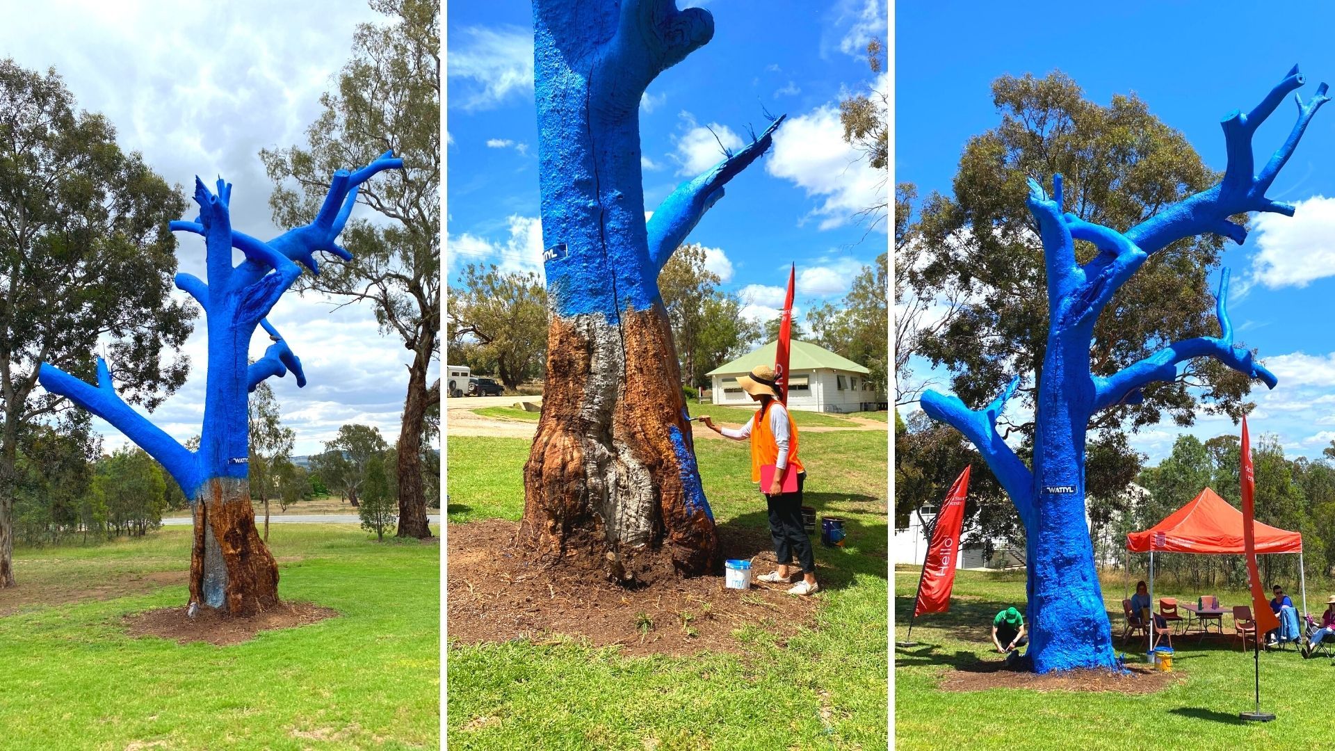 There’s more to this blue tree than meets the eye 