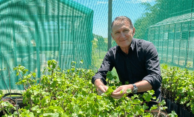 Agriculture research project wins trans-Tasman award