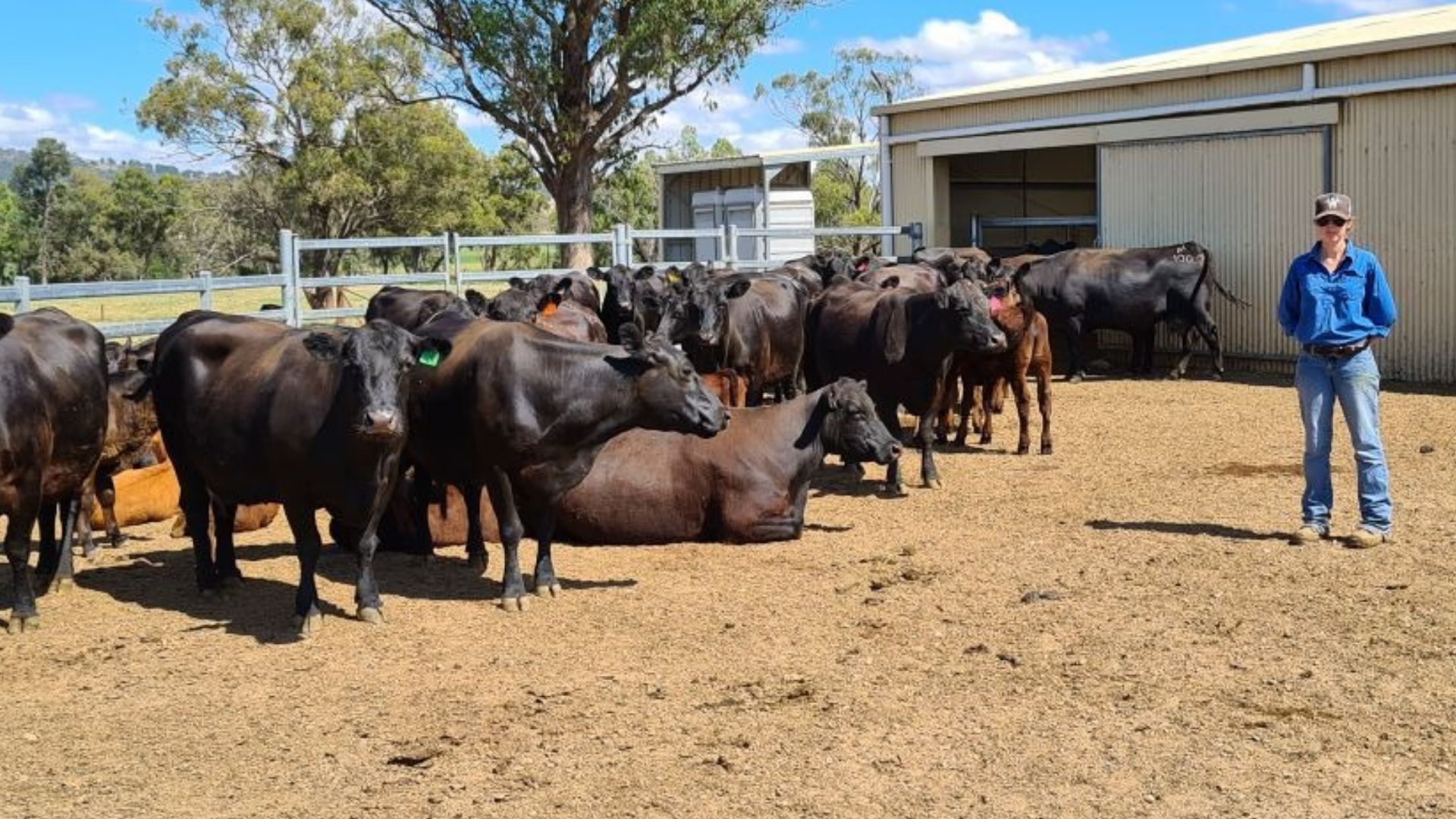 Fertile fodder: Scholarship allows pasture research to continue in Wagga Wagga