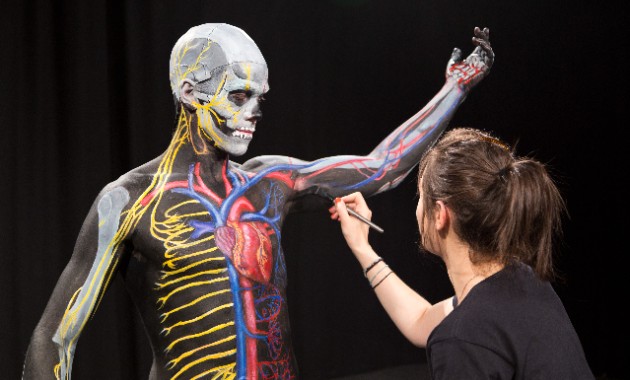 Body painting exhibition teaches anatomy to university students 