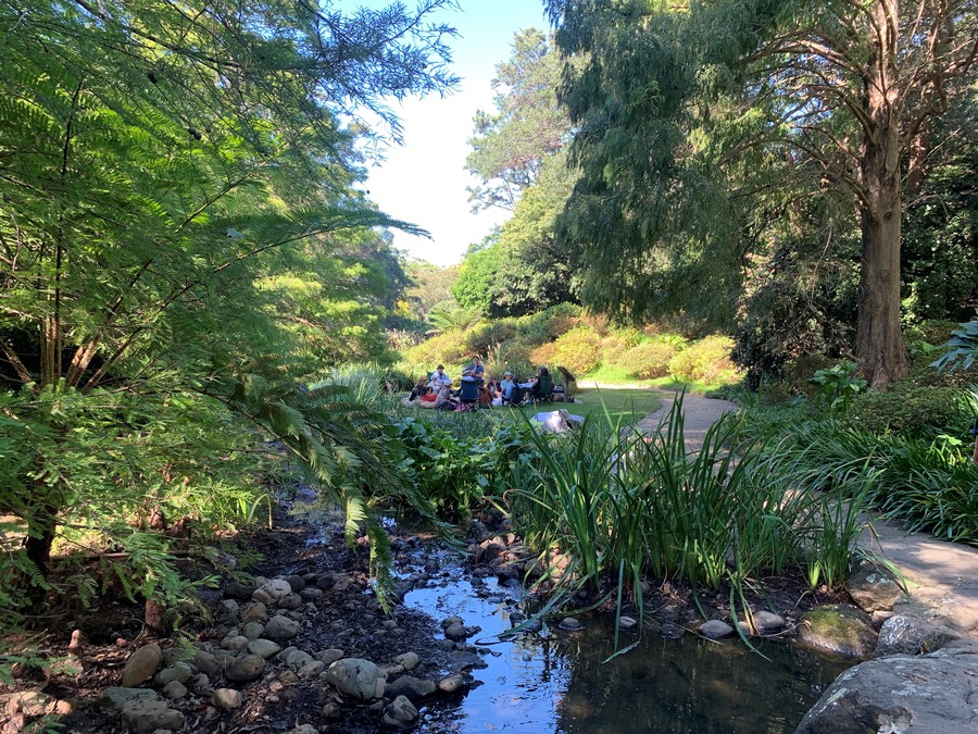 Naturefix training in Wollongong