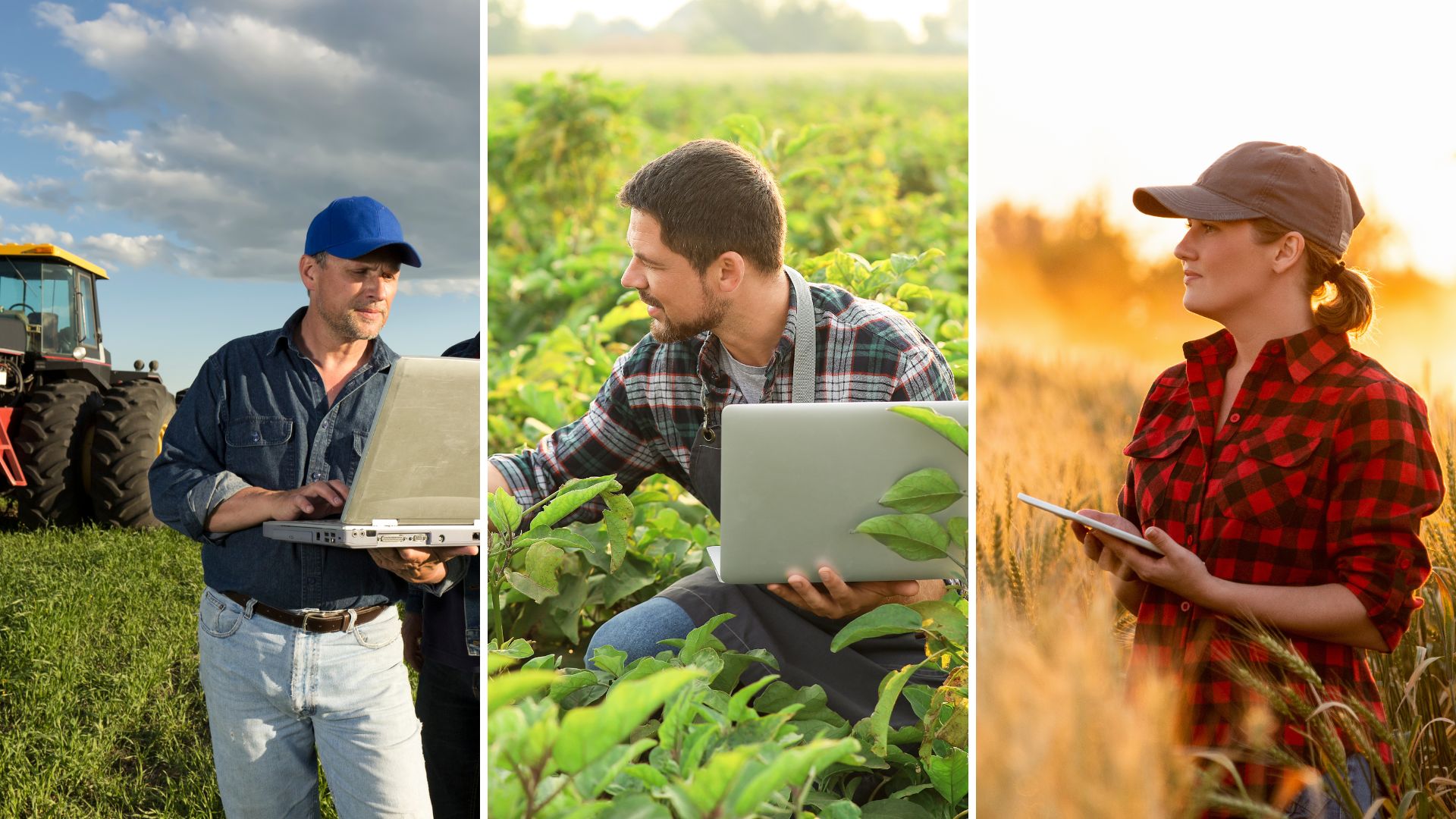 Cybersecurity and farmers – new website helps farmers to ‘shut the gate on cyber intruders’