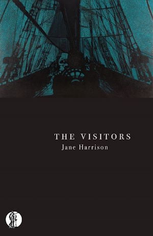 cover of The Visitors