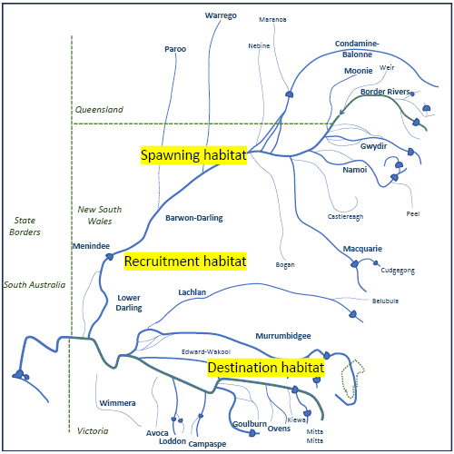 River map