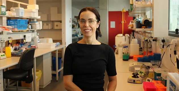Research Excellence