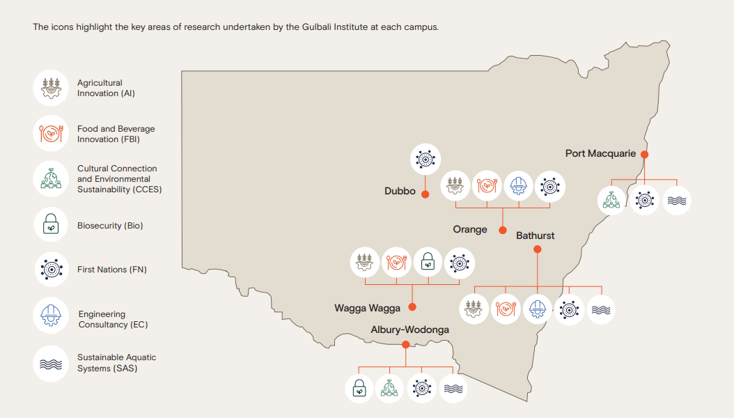 Gulbali on each campus