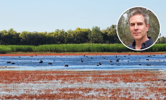 Smarter water delivery to enhance wetland ecology across the Murray-Darling Basin and beyond 