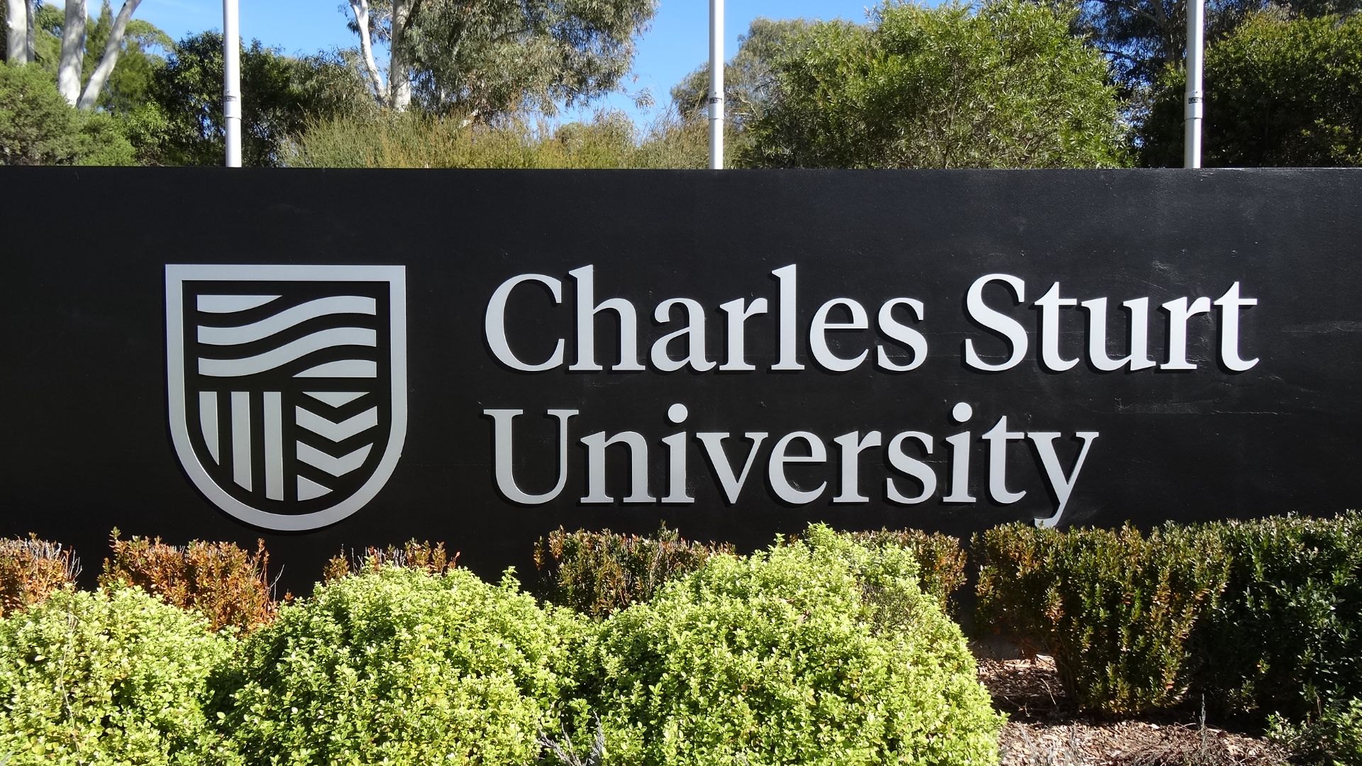 Charles Sturt celebrates milestones and leadership news
