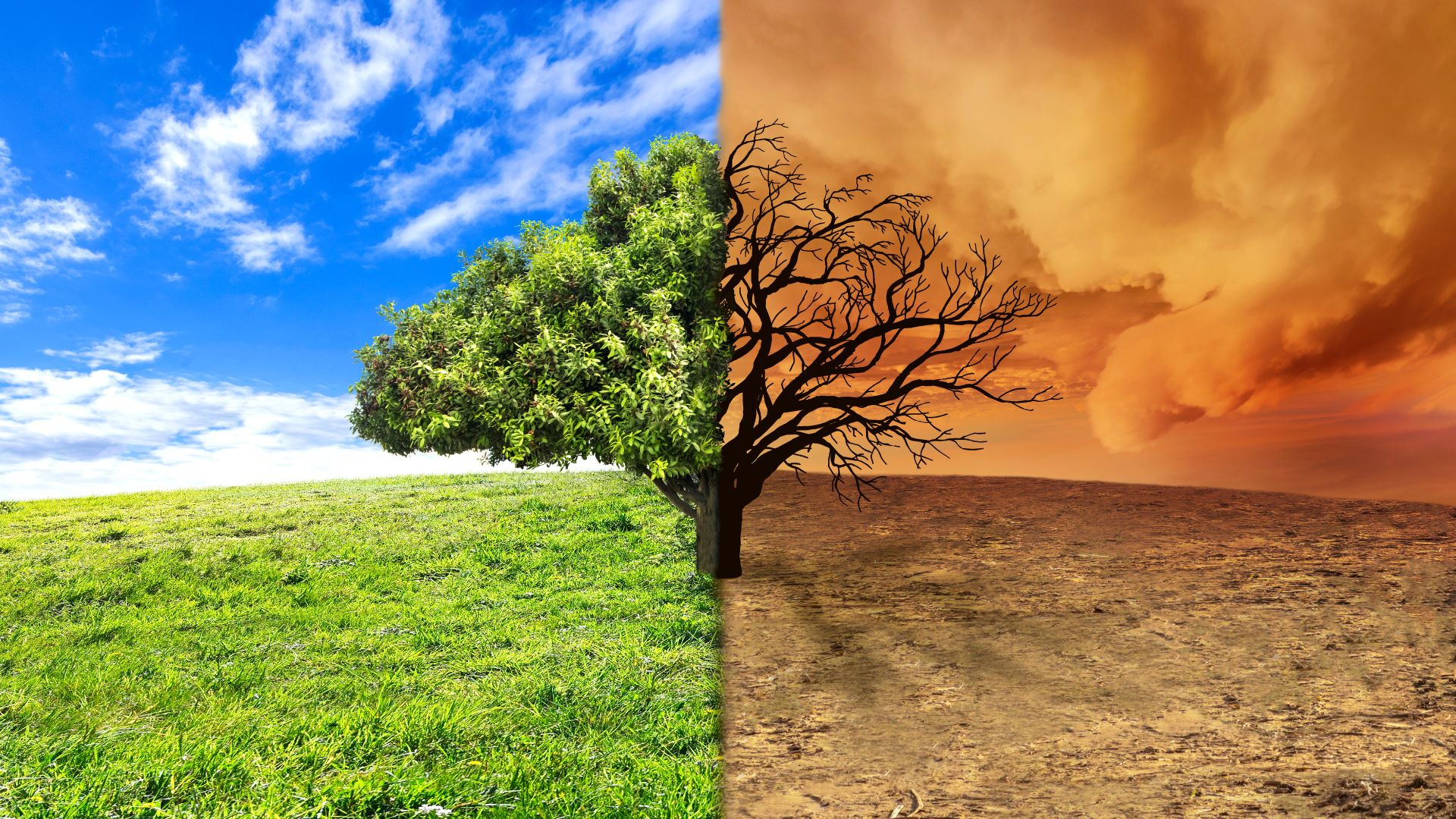 Australians worried about climate collapse: new report 