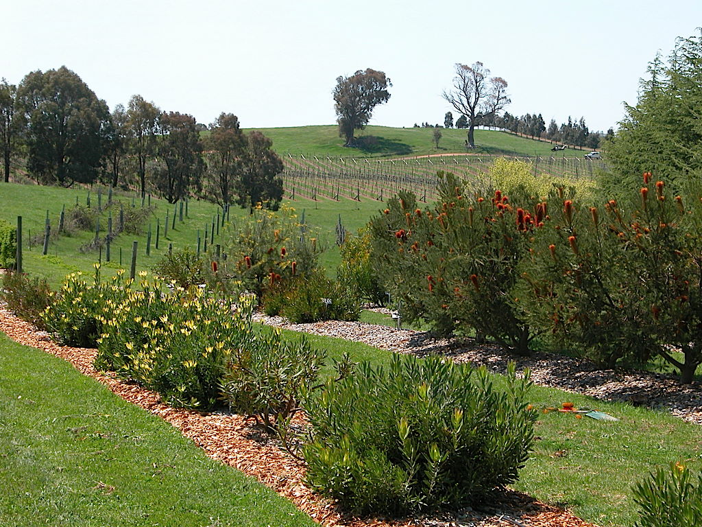 Tree plantations on the Orange campus